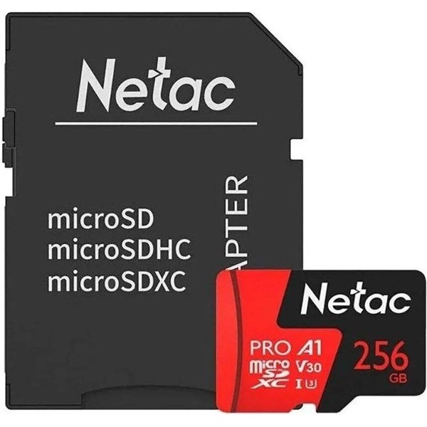 Ýat karty Netac Extreme Pro P500 256 GB.
