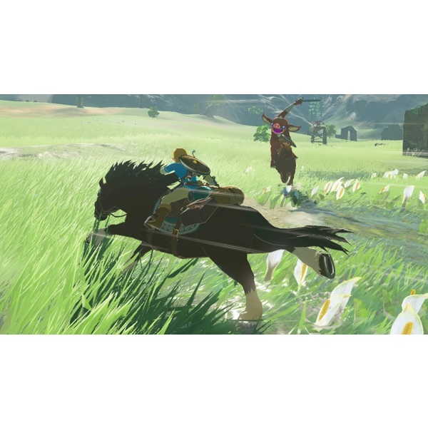 Oýun Nintendo The Legend of Zelda: Breath of the Wild Nintendo Switch