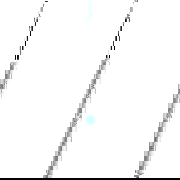 Akylly gulak taýagy (endoskop) Bebird Smart Visual Spoon Ear Stick R1 (с камерой) Ak